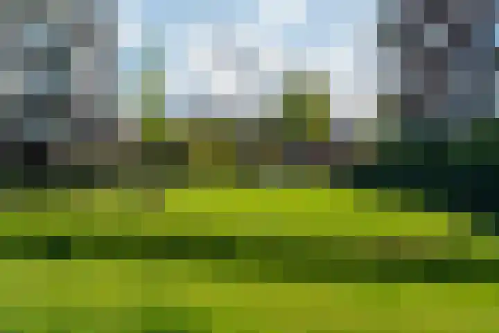 Charley Bosveldhof 12 Arnhem thumbnail 46