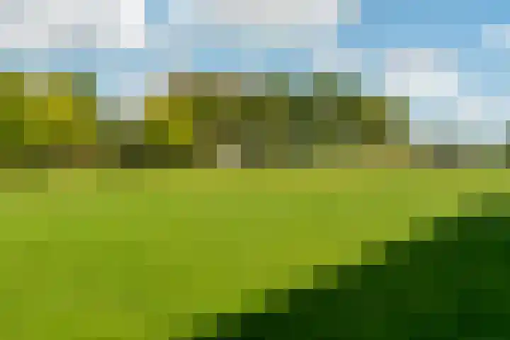 Charley Bosveldhof 12 Arnhem thumbnail 52