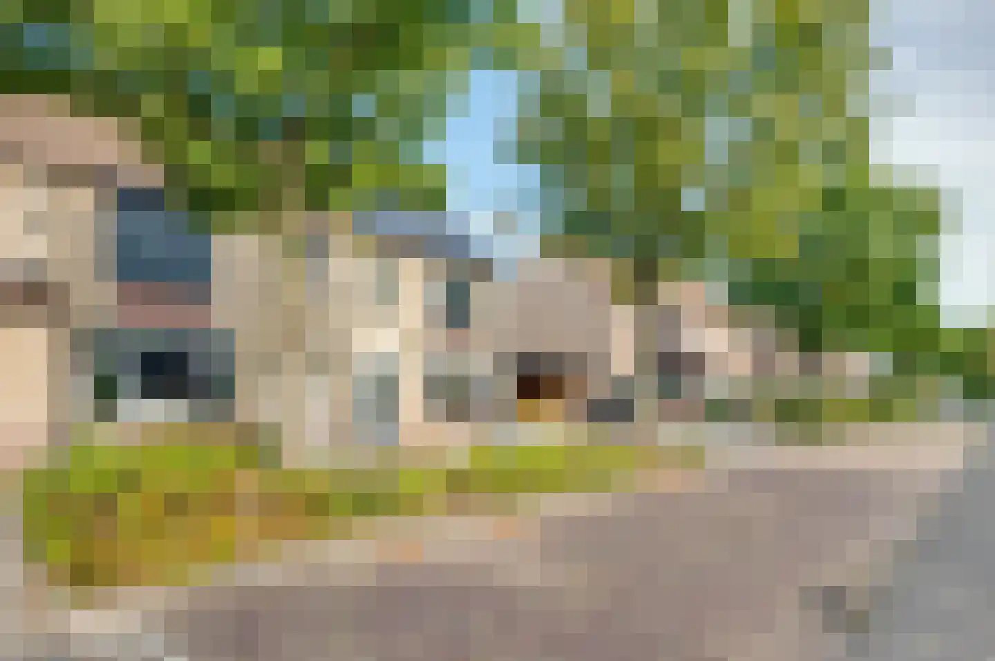 Charley Tooropstraat 22 Rijen thumbnail 8