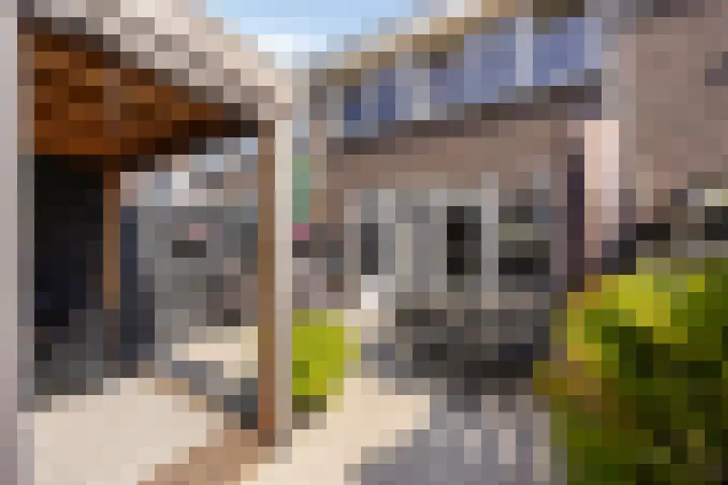 Charley Tooropstraat 6 Castricum thumbnail 19