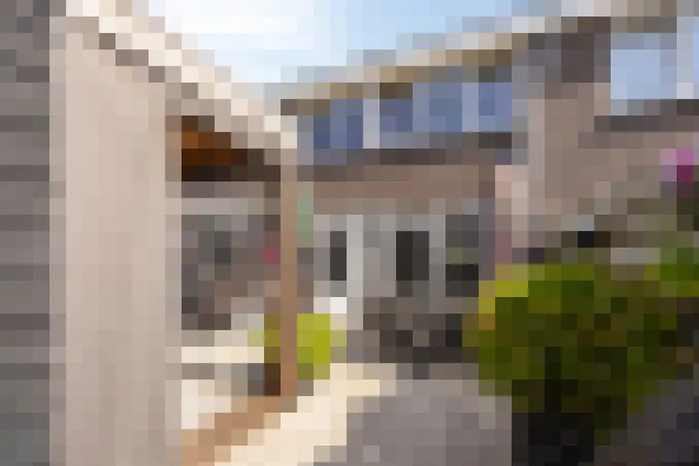 Charley Tooropstraat 6 Castricum thumbnail 20