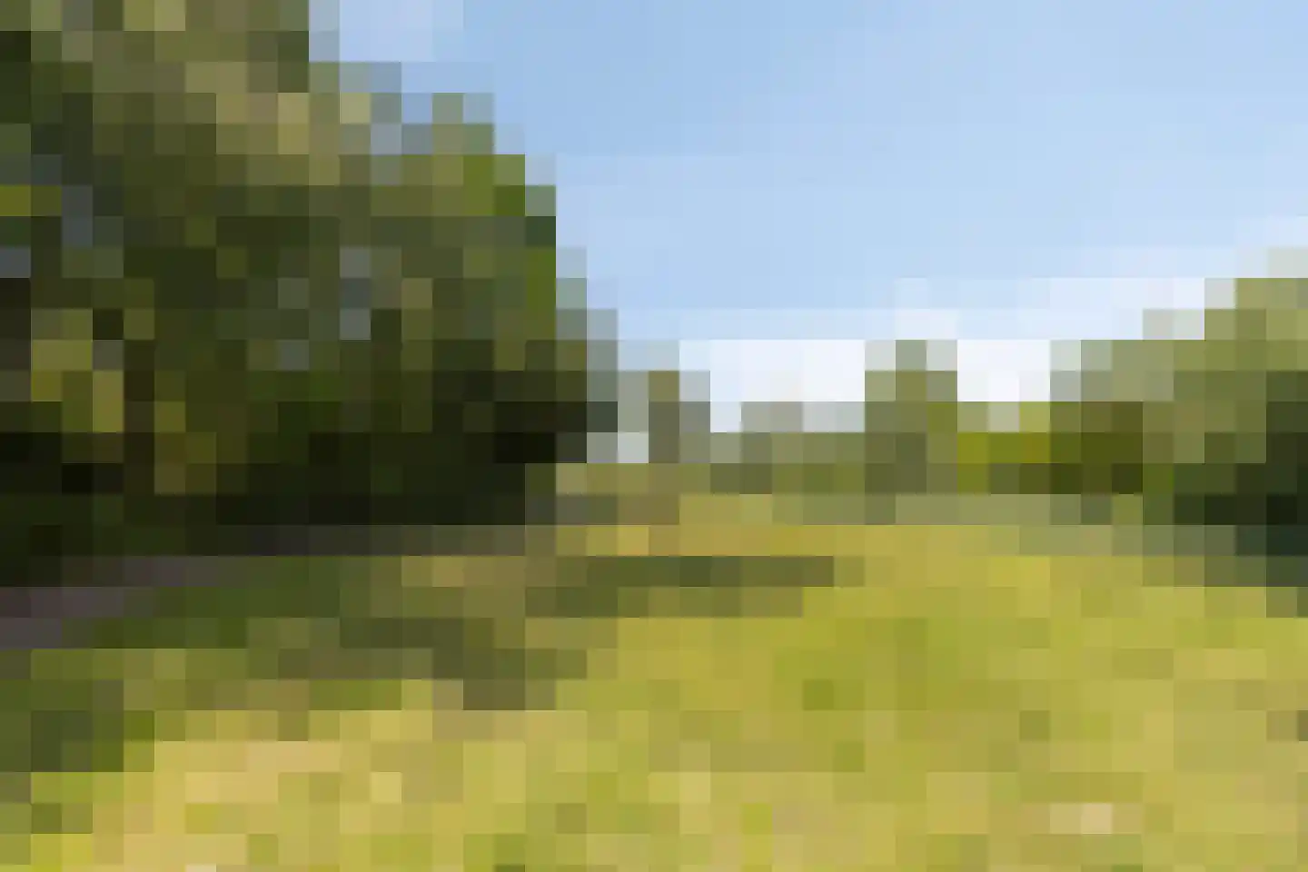 Charley Tooropstraat 6 Castricum thumbnail 25