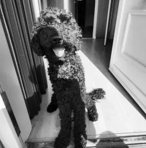Photo de Charlie