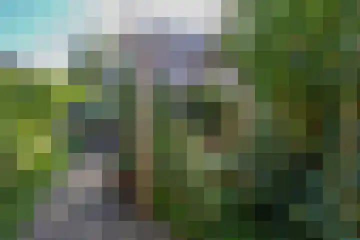 Charlie Chaplinweg 19 Almere thumbnail 36