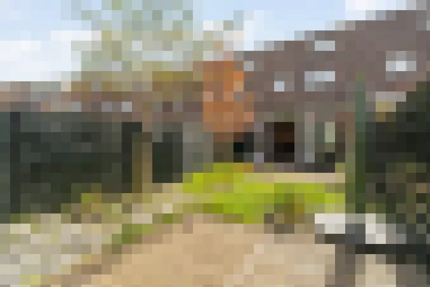 Charlie Parkersingel 17 Rotterdam thumbnail 29