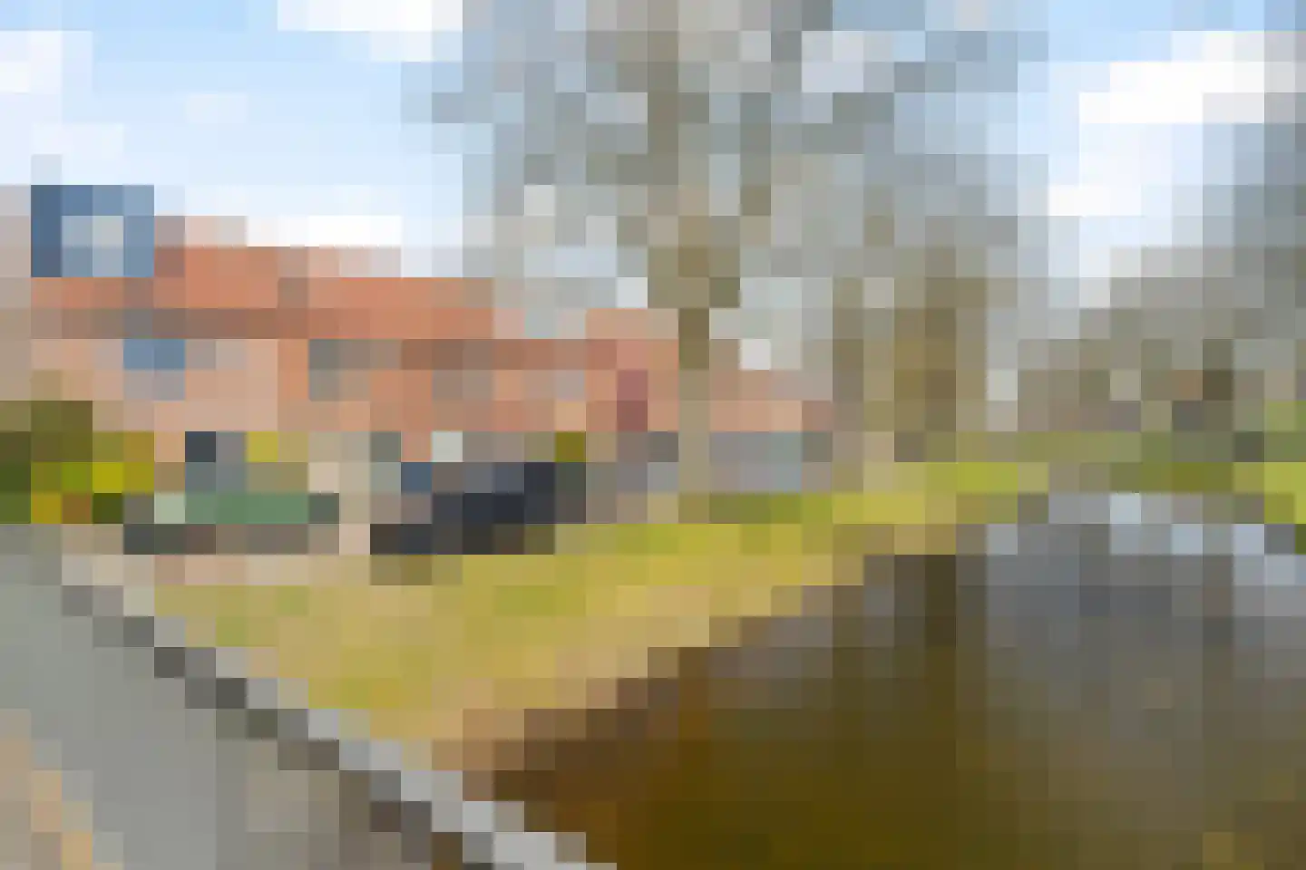 Charlie Parkersingel 17 Rotterdam thumbnail 6