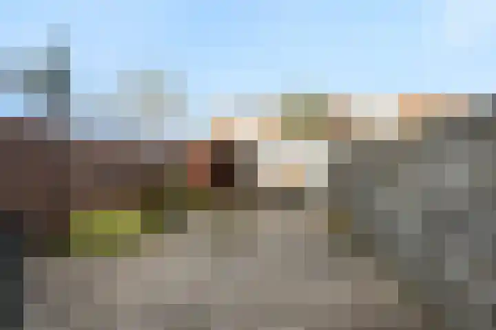 Charlie Parkersingel 23 Rotterdam thumbnail 11