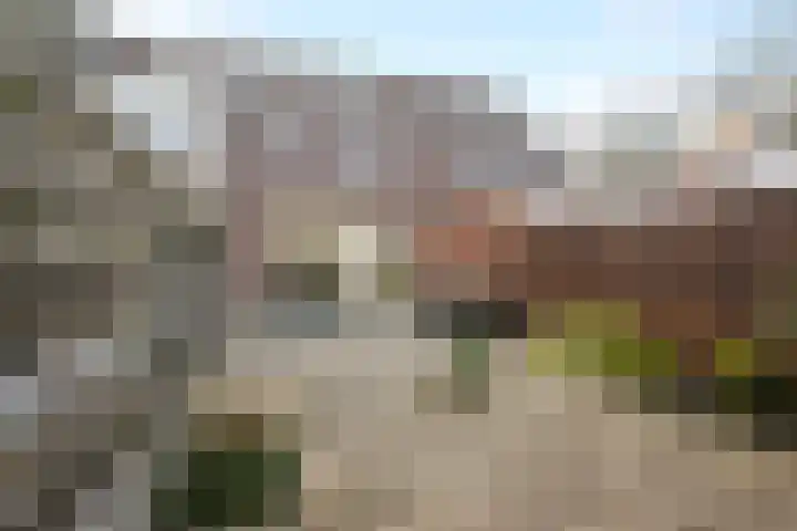 Charlie Parkersingel 23 Rotterdam thumbnail 12