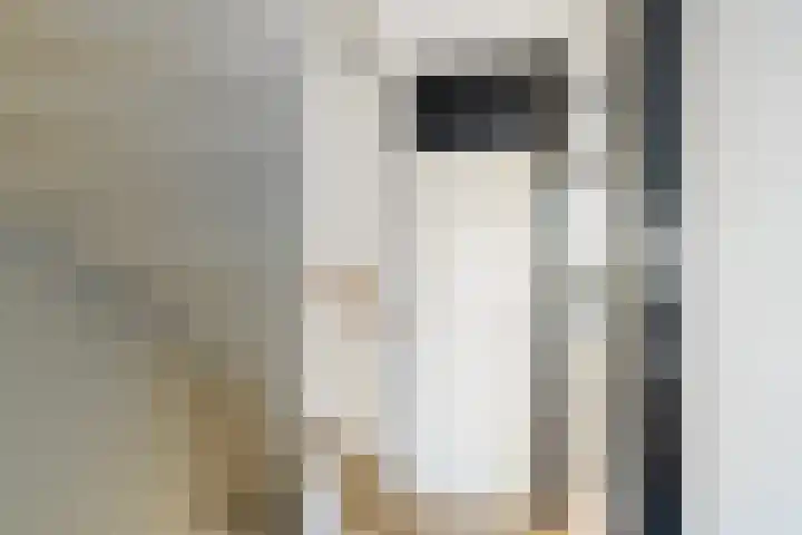 Charlie Parkersingel 23 Rotterdam thumbnail 13