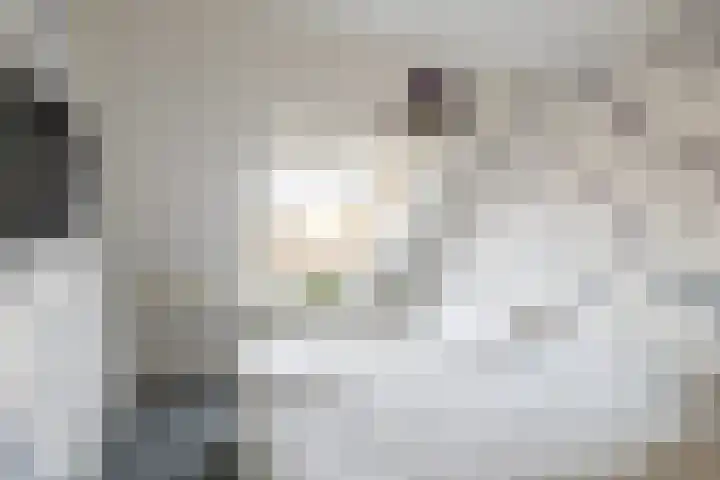 Charlie Parkersingel 23 Rotterdam thumbnail 15