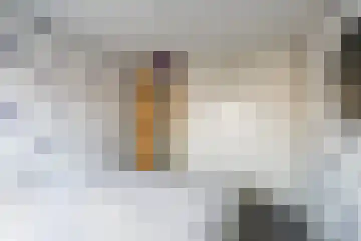 Charlie Parkersingel 23 Rotterdam thumbnail 16