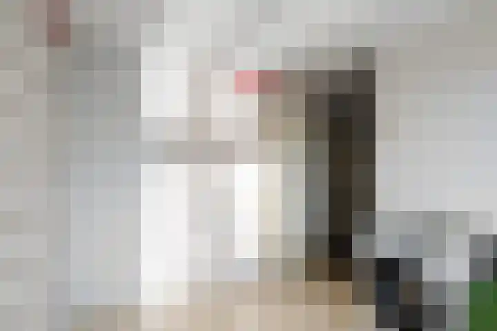 Charlie Parkersingel 23 Rotterdam thumbnail 18