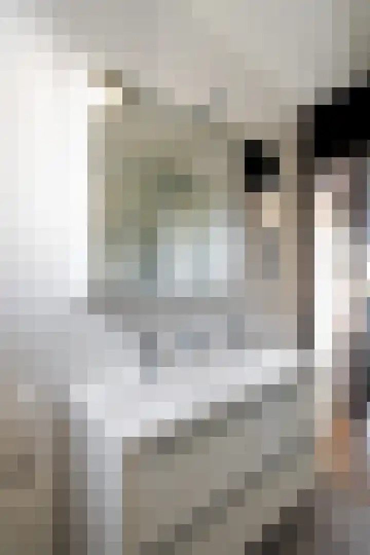 Charlie Parkersingel 23 Rotterdam thumbnail 20