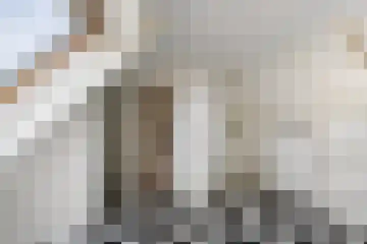 Charlie Parkersingel 23 Rotterdam thumbnail 25