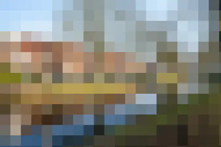 Charlie Parkersingel 23 Rotterdam thumbnail 28
