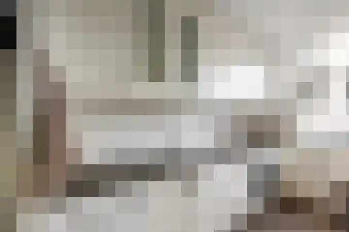 Charlie Parkersingel 23 Rotterdam thumbnail 9