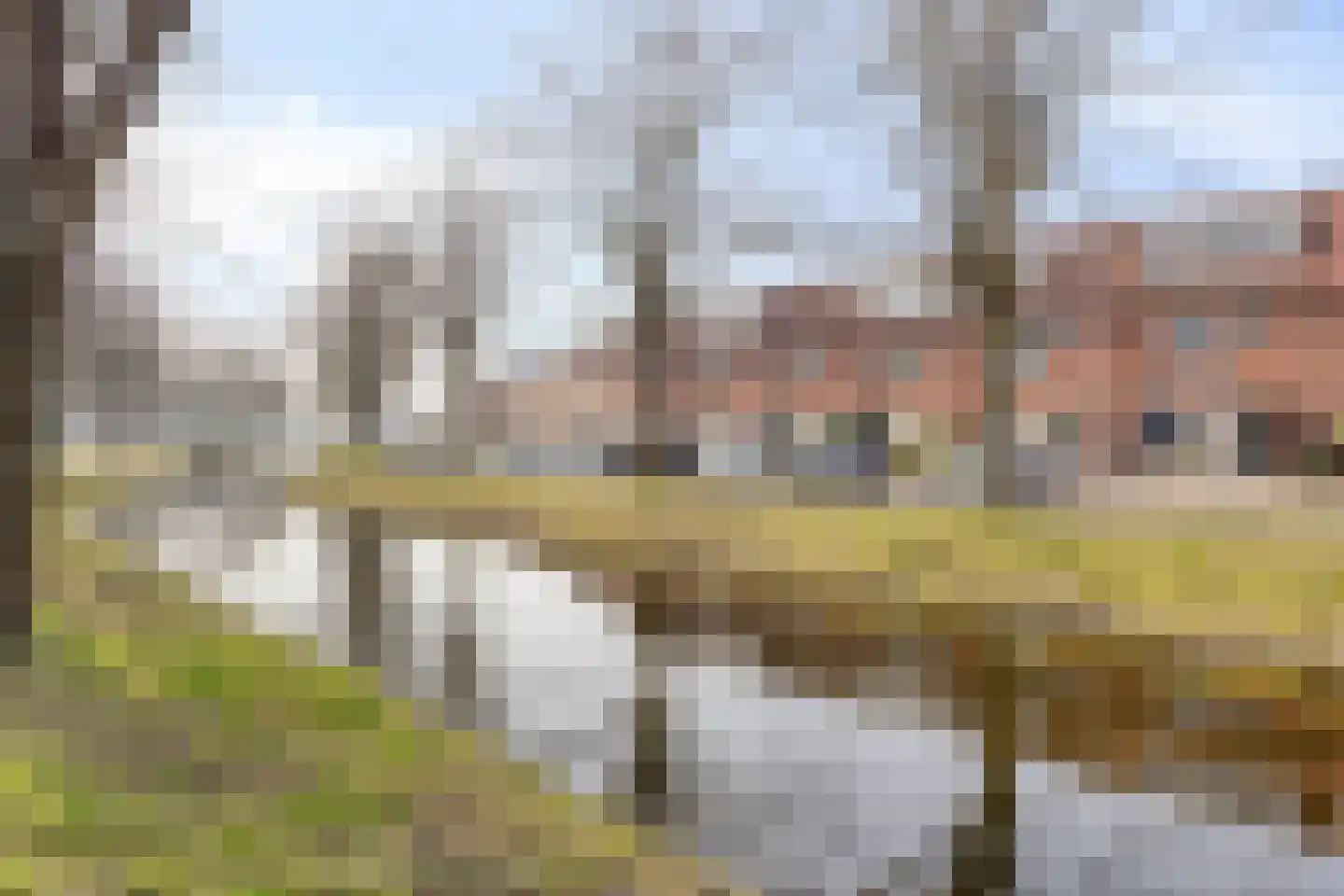 Charlie Parkersingel 3 Rotterdam thumbnail 33