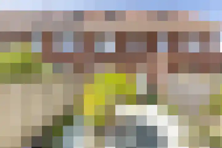 Charlie Parkerstraat 10 Middelburg thumbnail 13