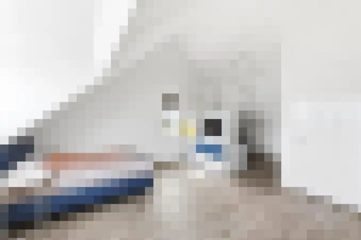 Charlie Parkerstraat 14 Middelburg thumbnail 23