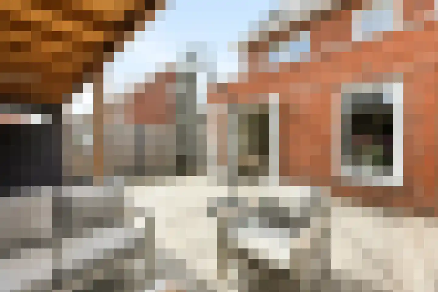 Charlie Parkerstraat 14 Middelburg thumbnail 30