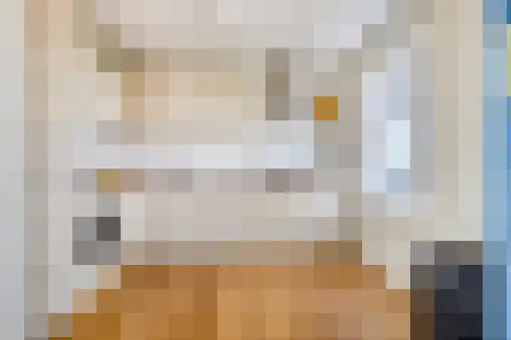 Charloisse Hoofd 61 B Rotterdam thumbnail 5