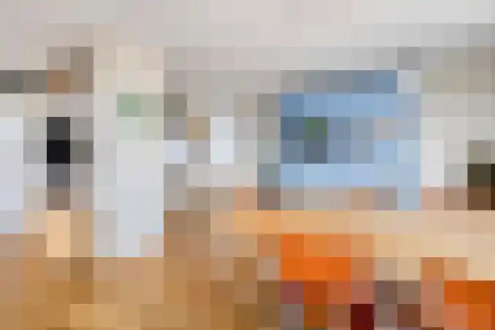 Charloisse Hoofd 61 B Rotterdam thumbnail 8