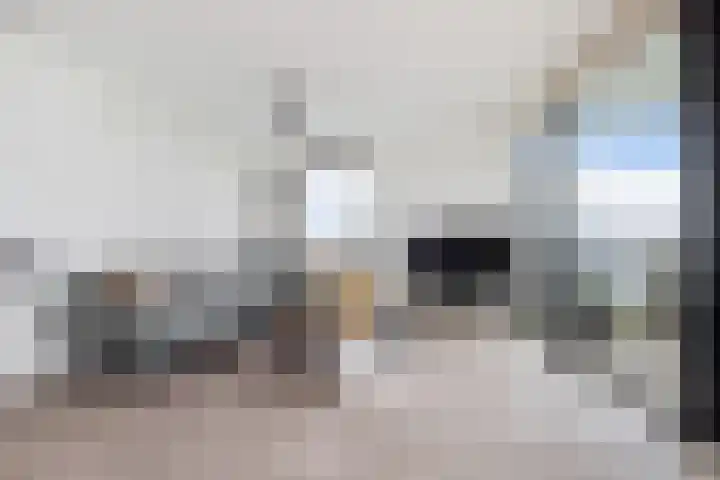Charloisse Hoofd 71 B Rotterdam thumbnail 14