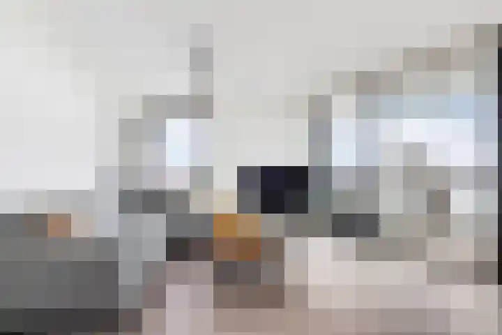 Charloisse Hoofd 71 B Rotterdam thumbnail 15