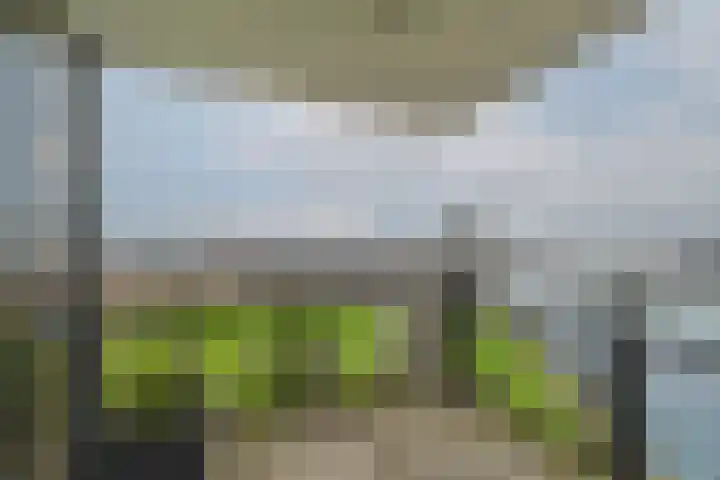 Charloisse Hoofd 71 B Rotterdam thumbnail 16