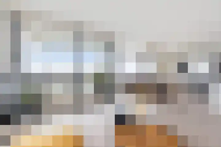 Charloisse Hoofd 71 B Rotterdam thumbnail 20