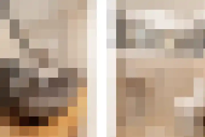 Charloisse Hoofd 71 B Rotterdam thumbnail 35