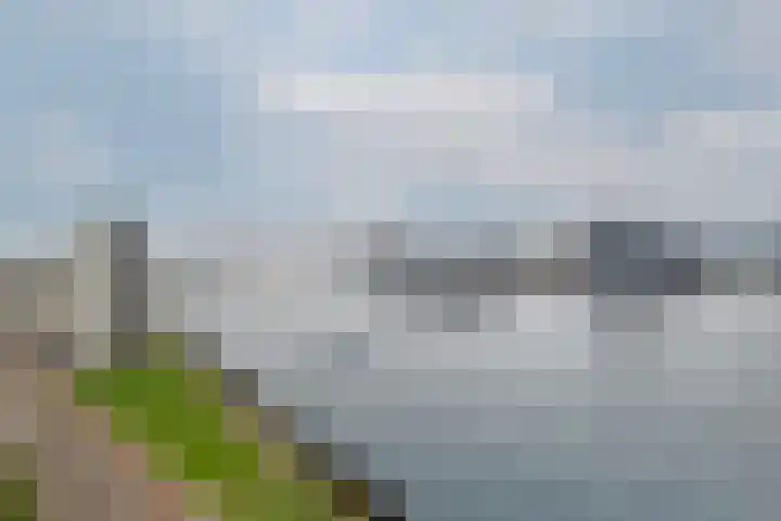 Charloisse Hoofd 71 B Rotterdam thumbnail 39