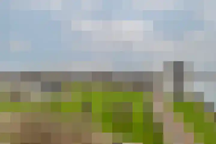 Charloisse Hoofd 71 B Rotterdam thumbnail 40