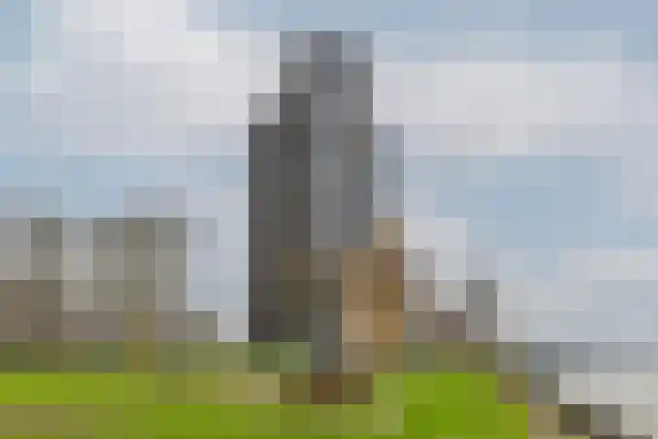 Charloisse Hoofd 71 B Rotterdam thumbnail 47