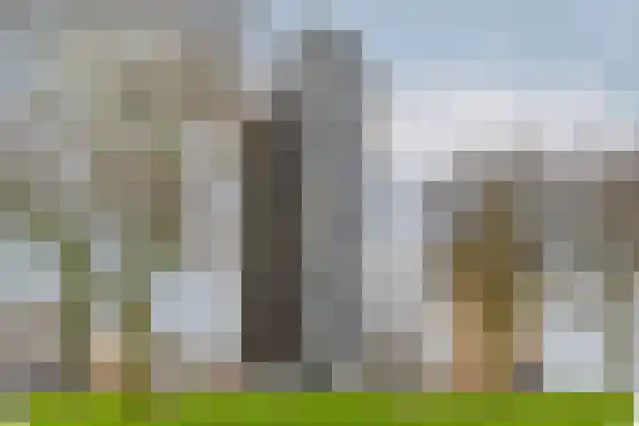 Charloisse Hoofd 71 B Rotterdam thumbnail 48
