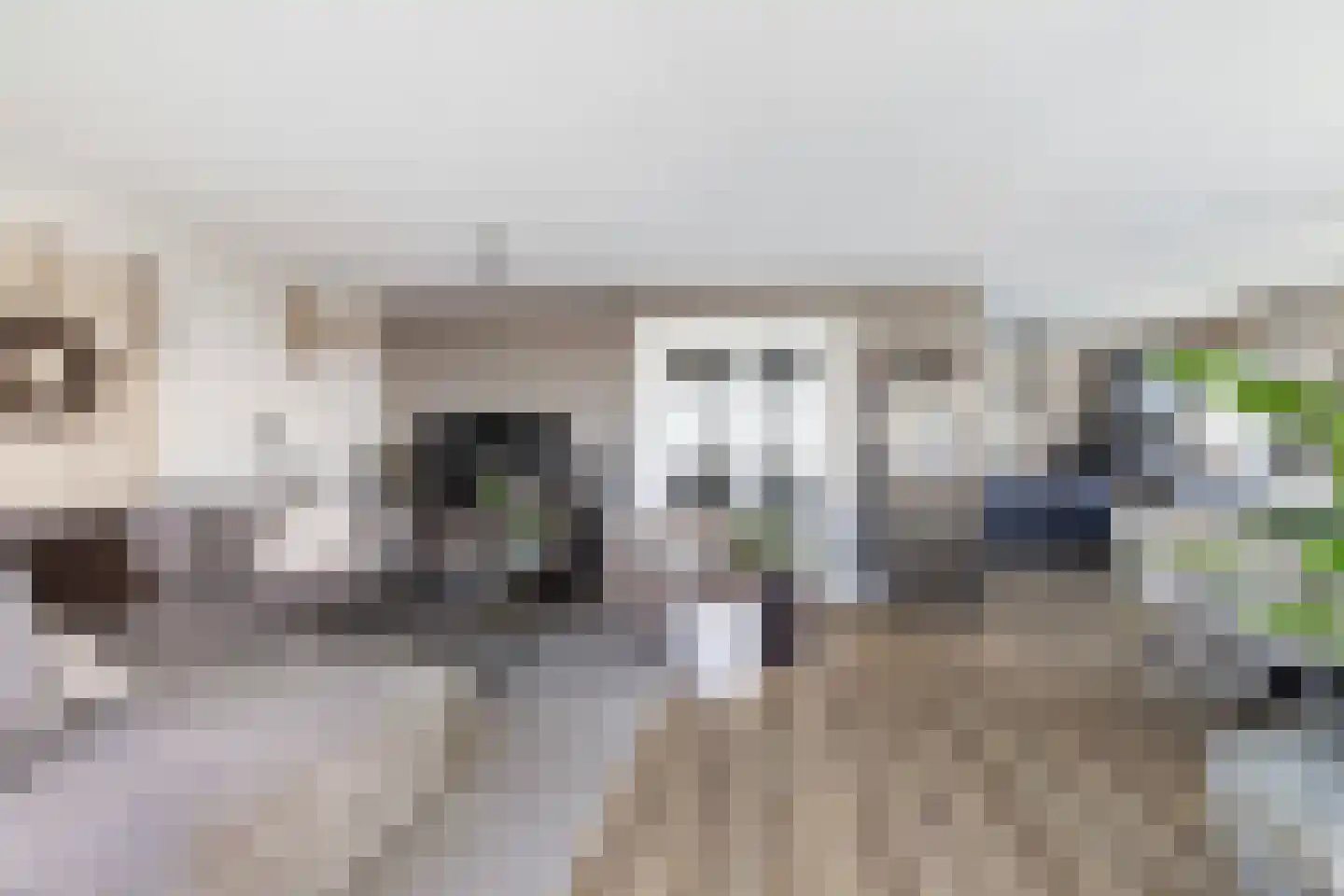 Charloisse Hoofd 83 D Rotterdam thumbnail 11