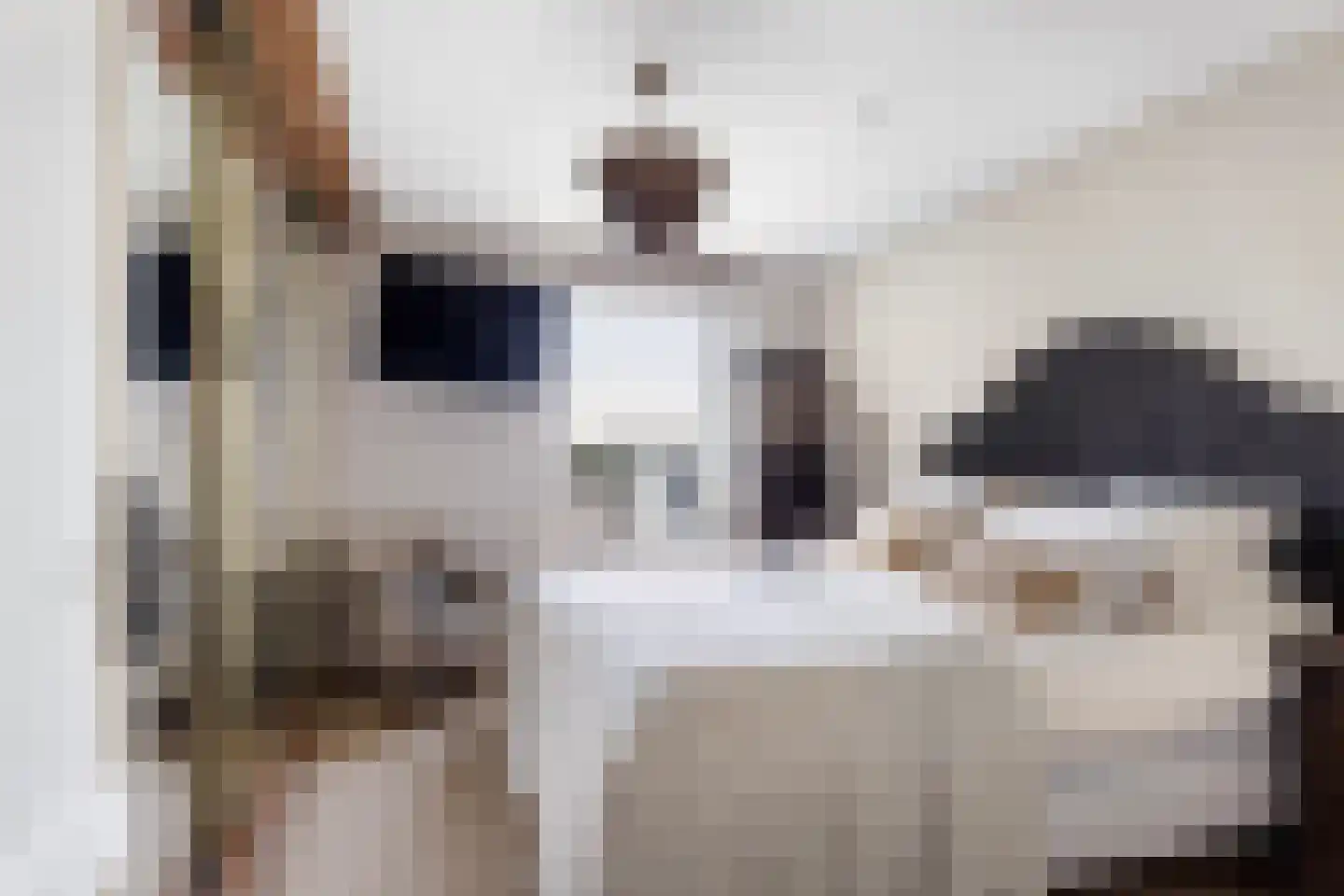 Charloisse Hoofd 83 D Rotterdam thumbnail 18