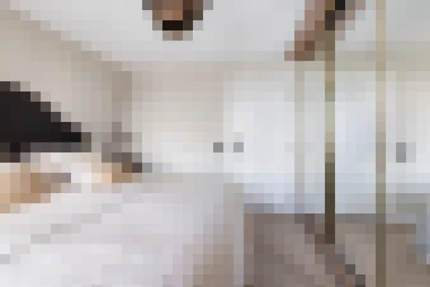 Charloisse Hoofd 83 D Rotterdam thumbnail 19