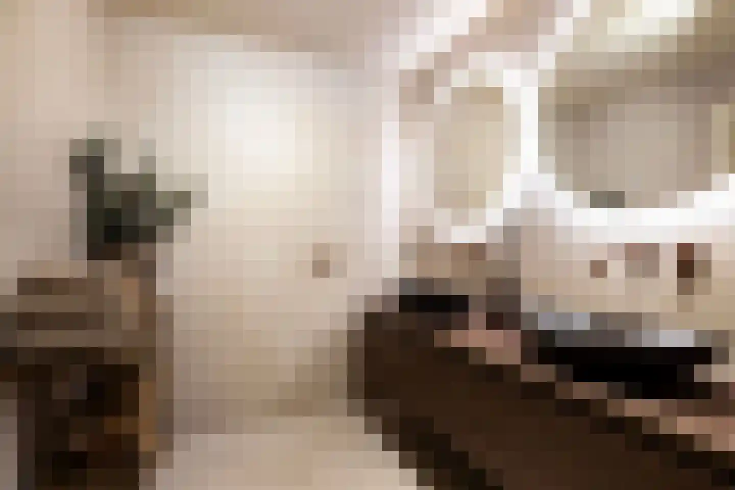 Charloisse Hoofd 83 D Rotterdam thumbnail 23