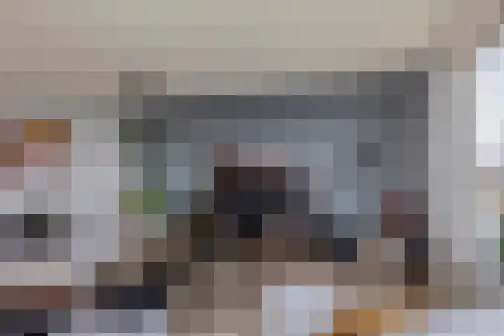 Charloisse Hoofd 93 B Rotterdam thumbnail 13