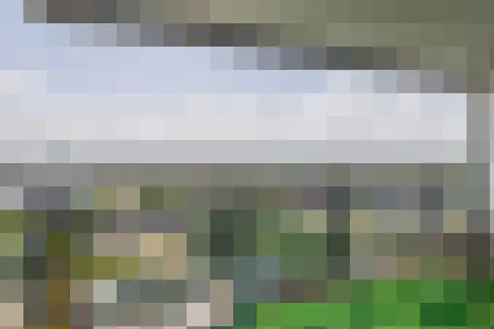 Charloisse Hoofd 93 B Rotterdam thumbnail 34