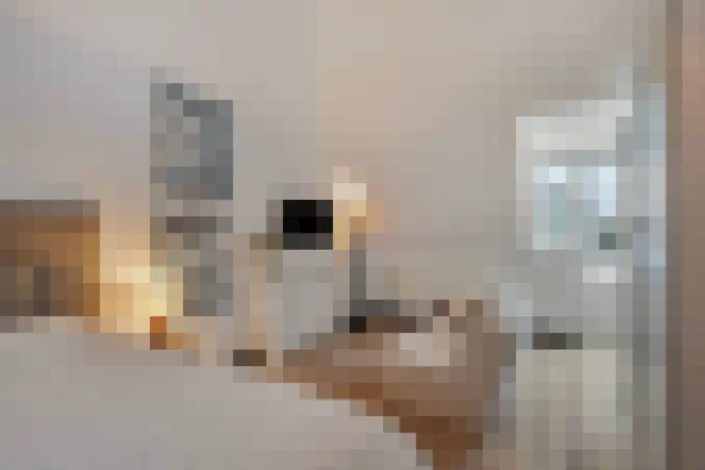 Charloisse Lagedijk 511 Rotterdam thumbnail 34