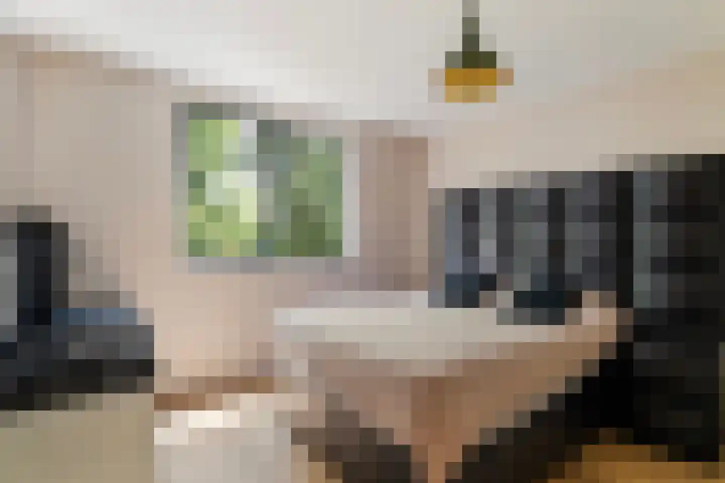 Charloisse Lagedijk 518 Rotterdam thumbnail 18