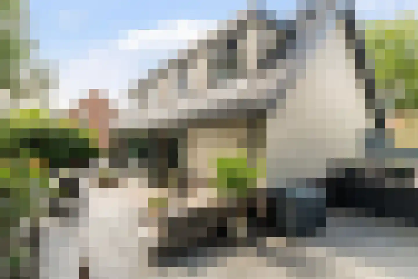 Charloisse Lagedijk 518 Rotterdam thumbnail 28