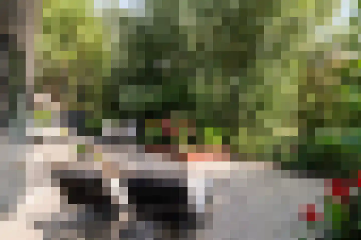 Charloisse Lagedijk 518 Rotterdam thumbnail 32