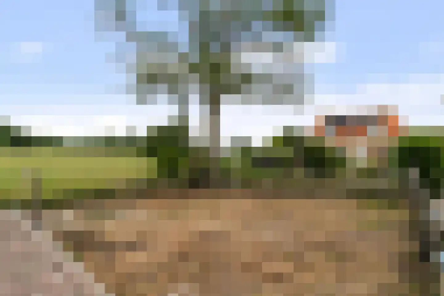Charloisse Lagedijk 518 Rotterdam thumbnail 37