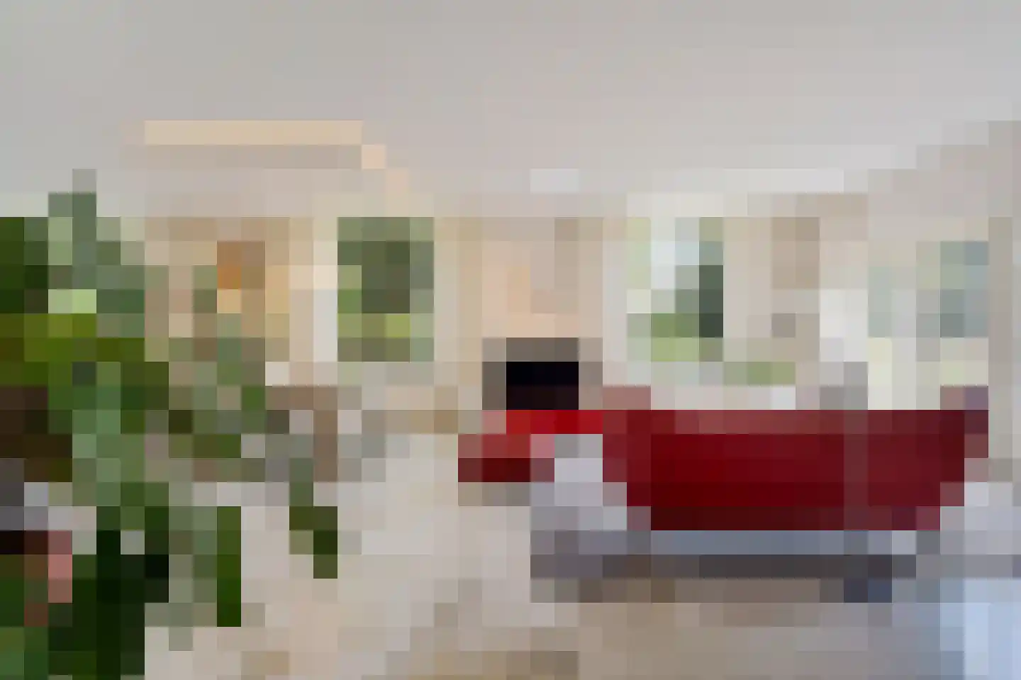 Charloisse Lagedijk 534 Rotterdam thumbnail 19