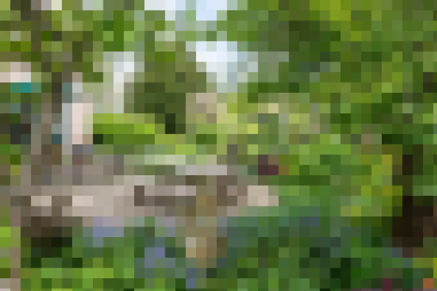 Charloisse Lagedijk 534 Rotterdam thumbnail 37
