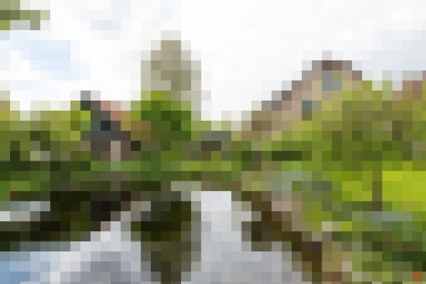 Charloisse Lagedijk 534 Rotterdam thumbnail 4