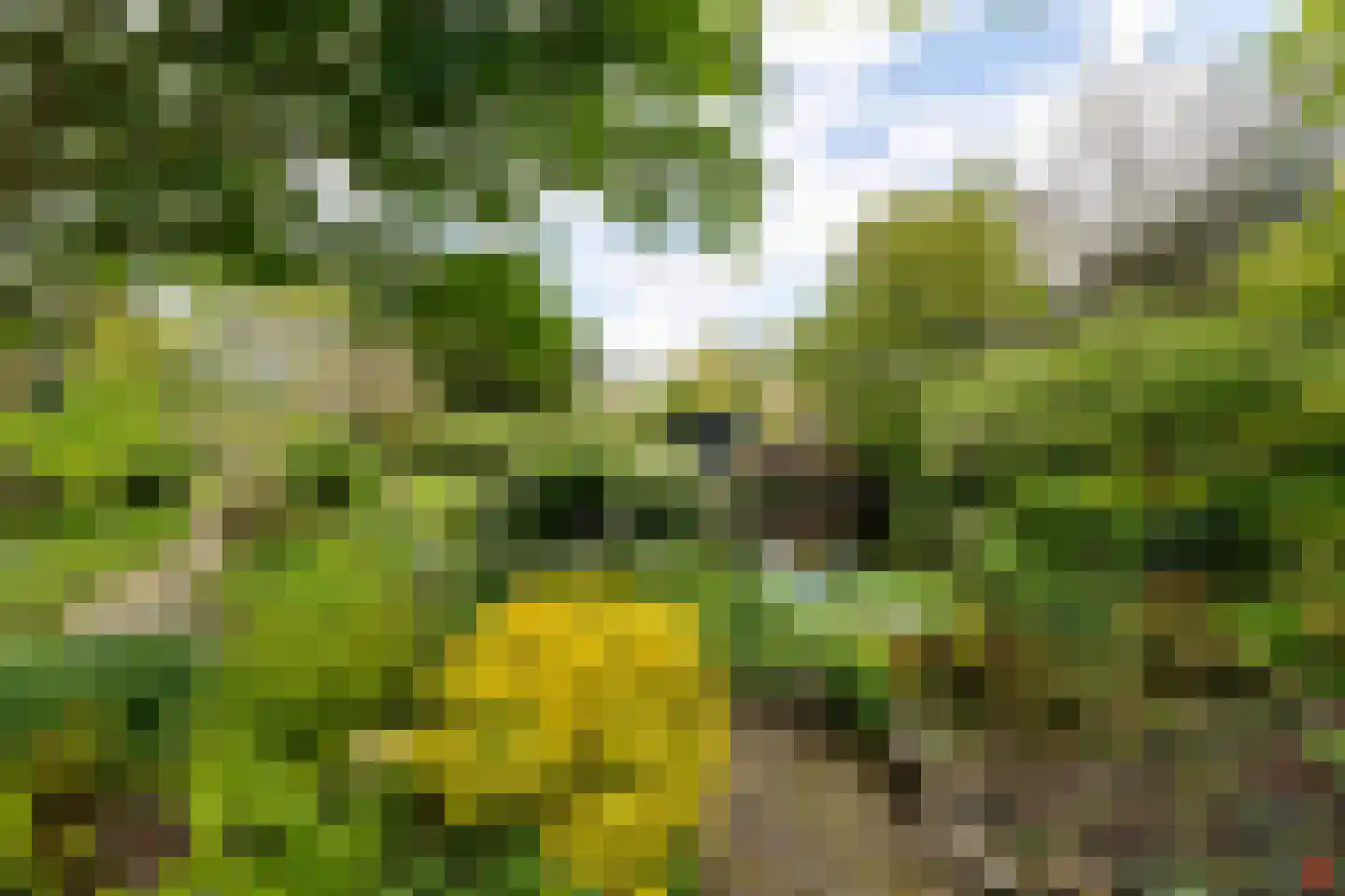 Charloisse Lagedijk 534 Rotterdam thumbnail 46